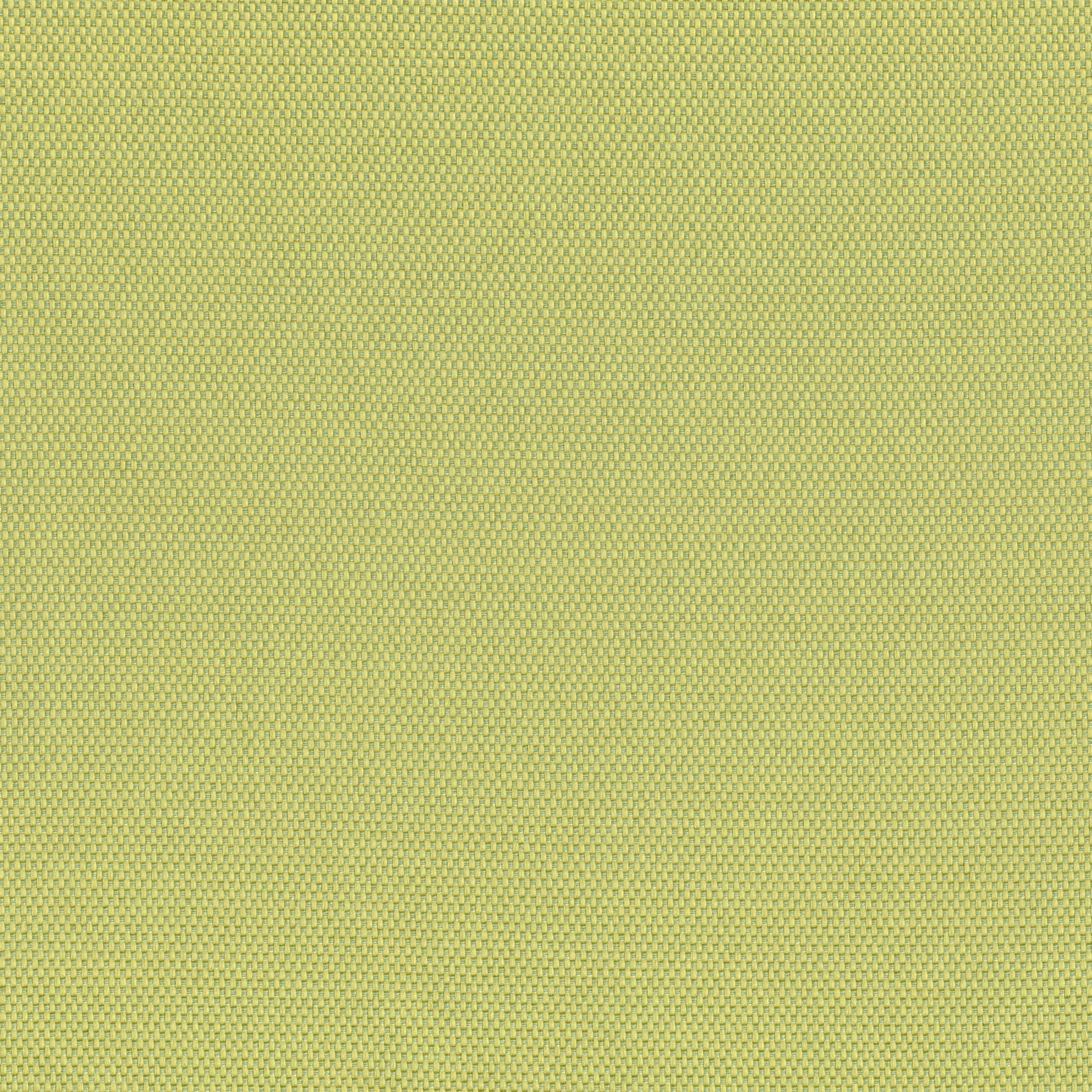 Lime 41 | Hillary