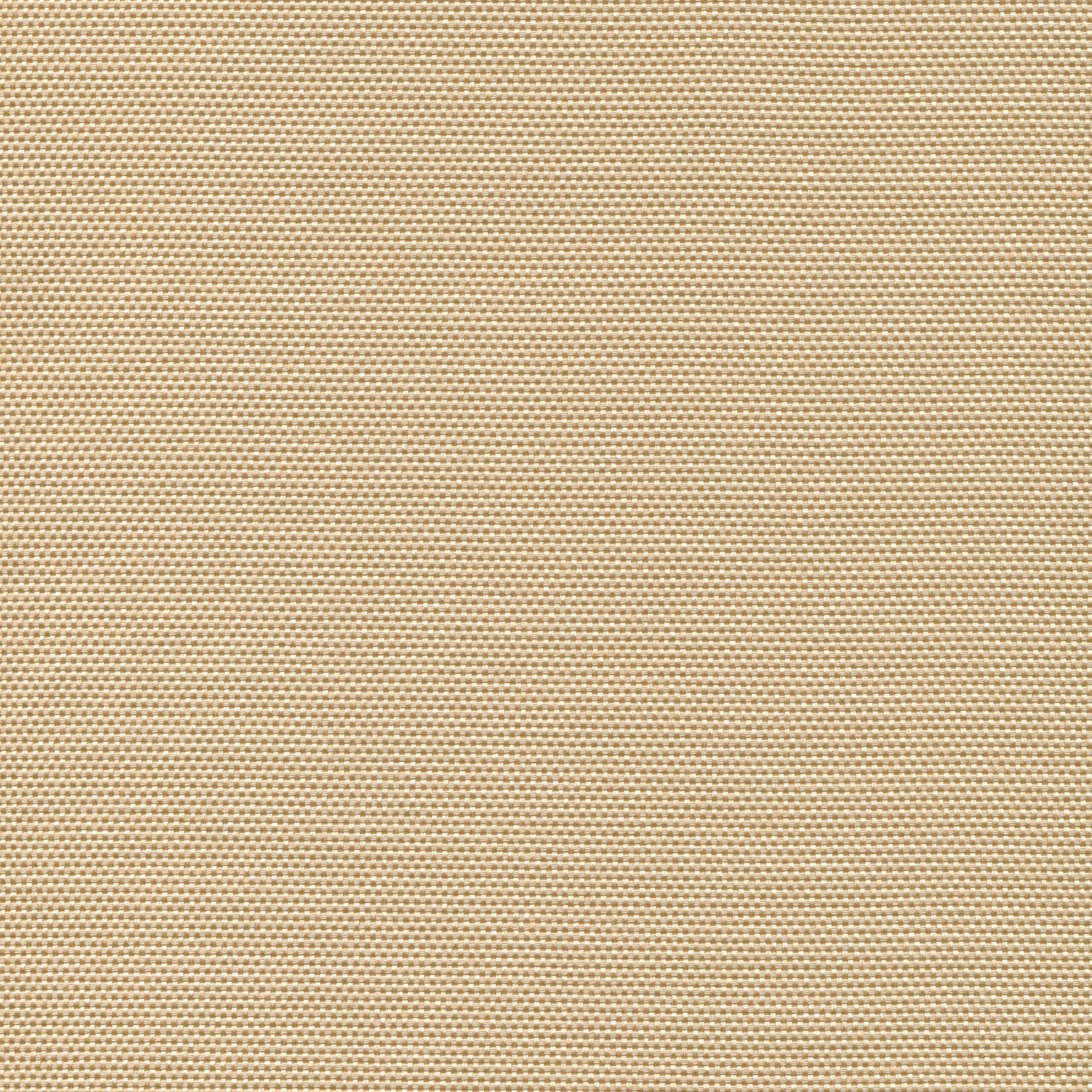 Beige 53 | Hillary