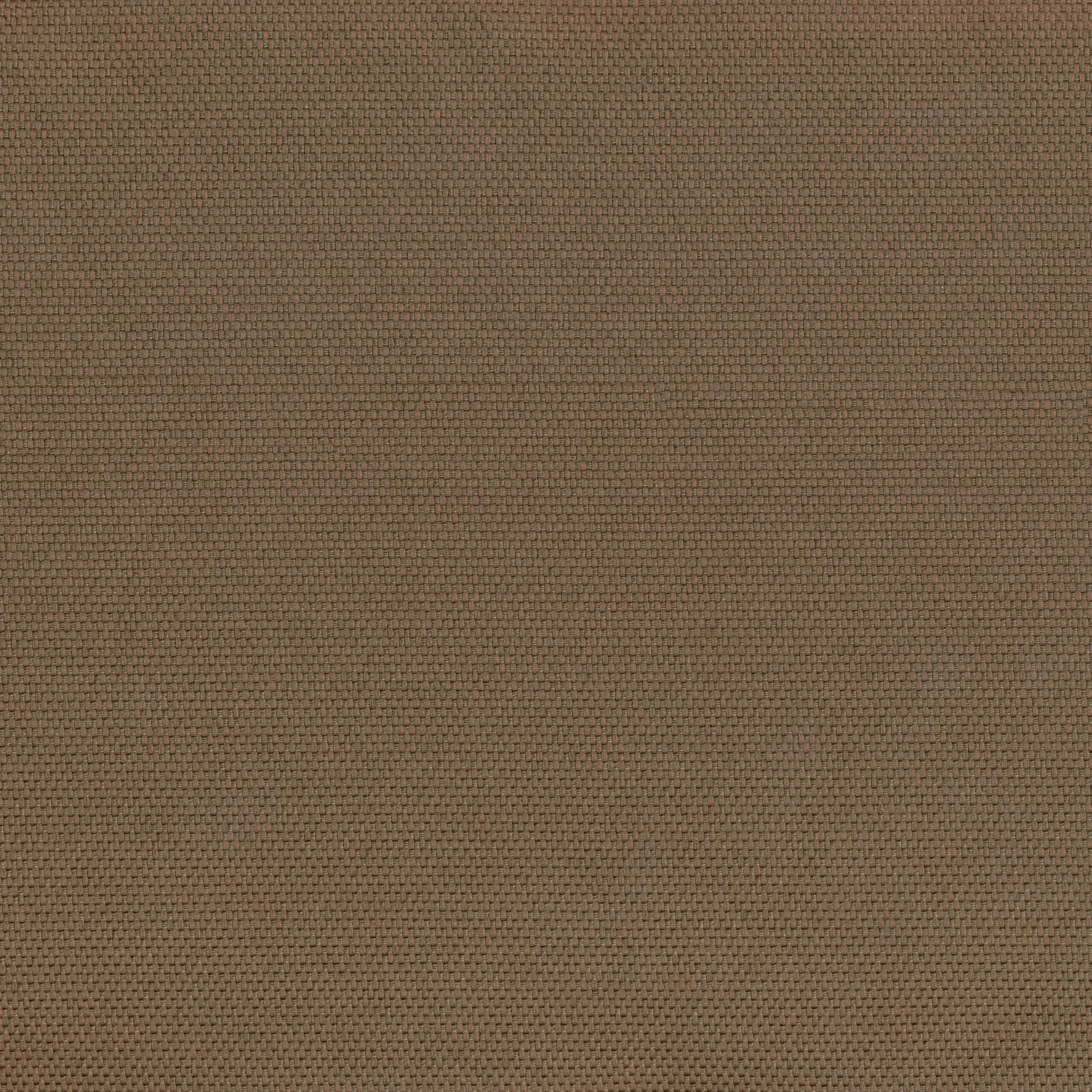 Bronze 61 | Hillary
