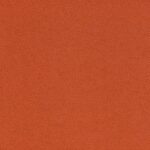 Tangerine 16 | Hillary