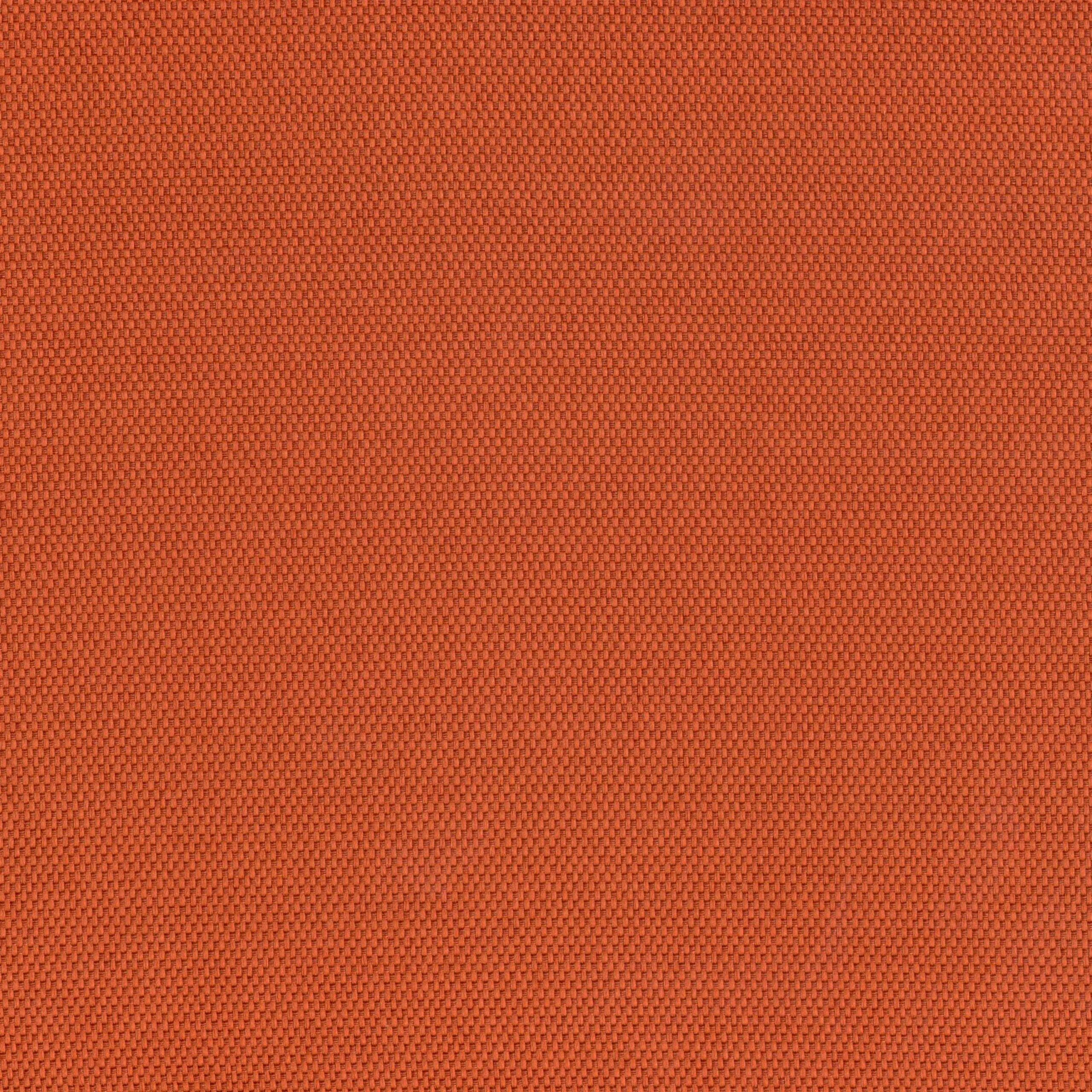 Tangerine 16 | Hillary