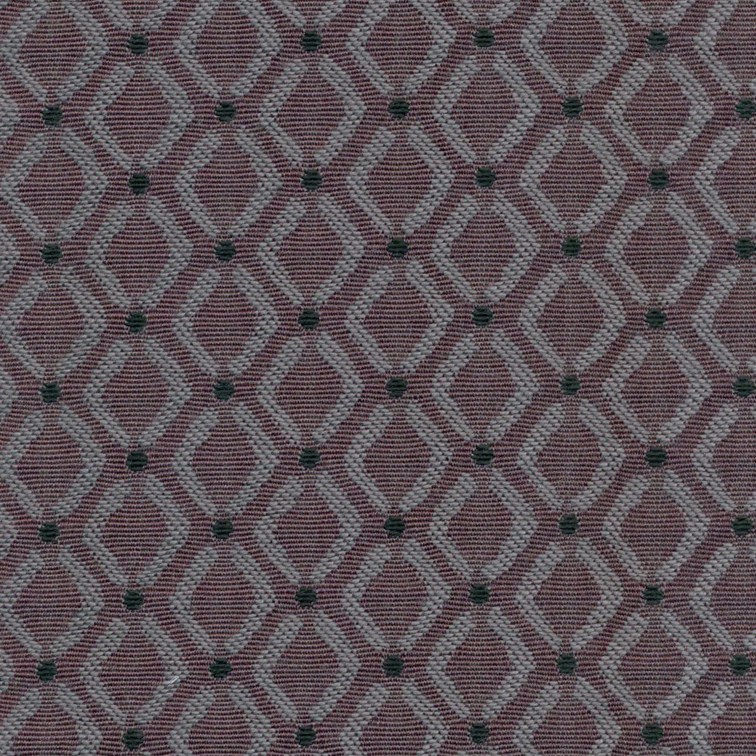 Plum 33 | Hiper