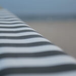 Silver 06 | Holiday