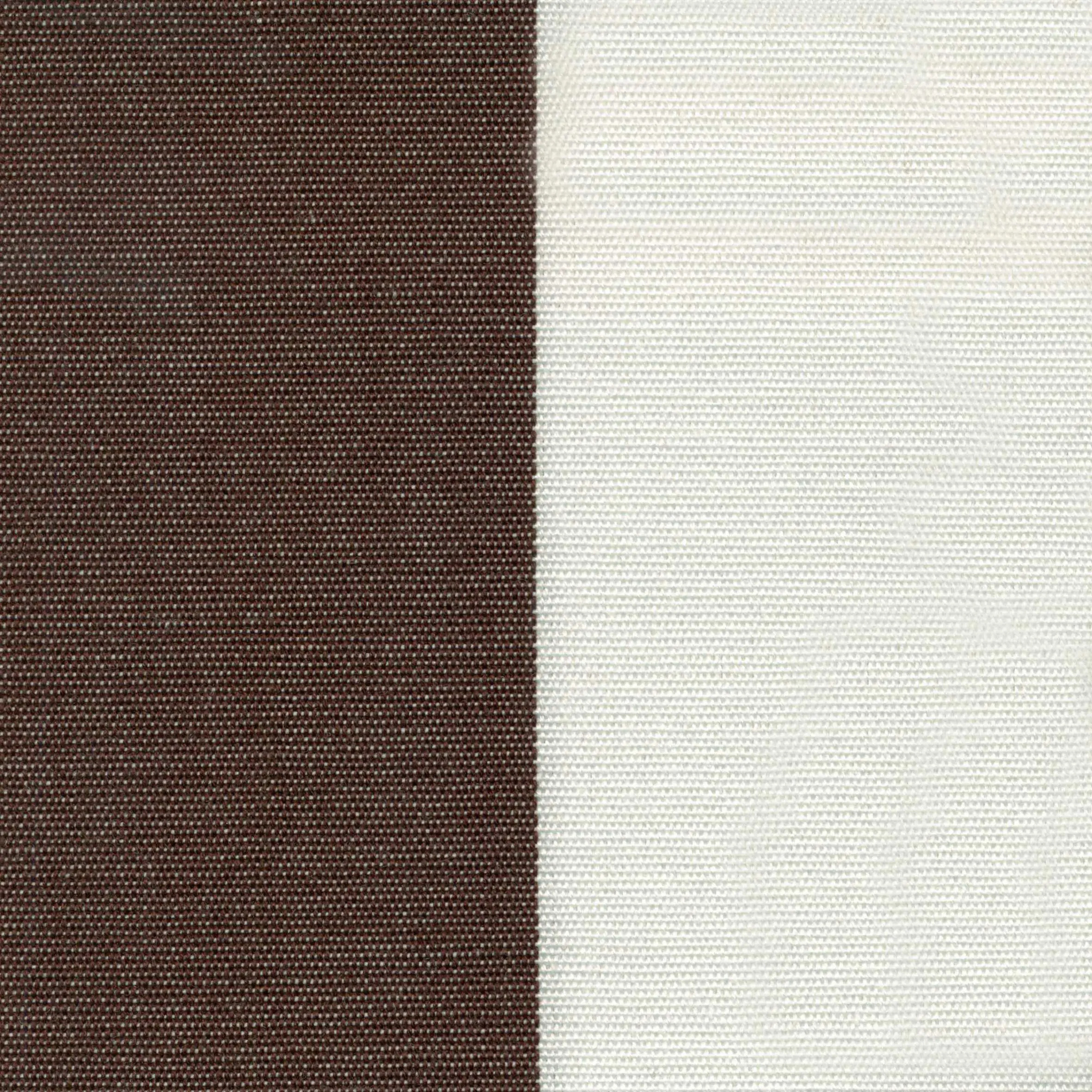 Bronze 65 | Holiday