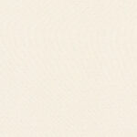 Ivory 47 | Holly