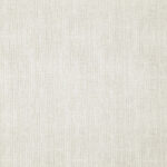 Eggshell 4 | Homer