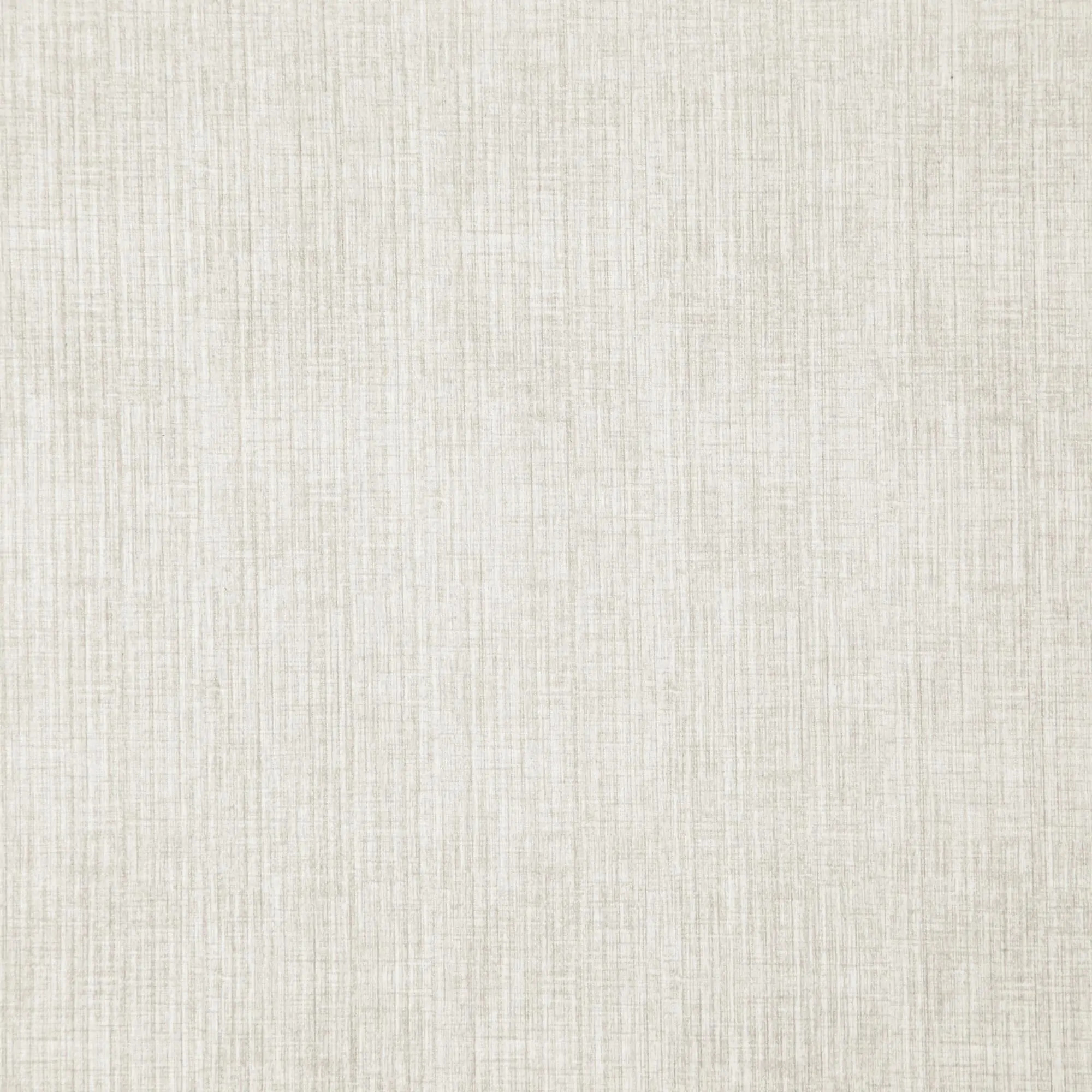 Eggshell 4 | Homer