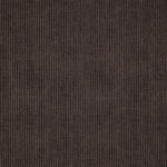 Cedar 11 | Homer