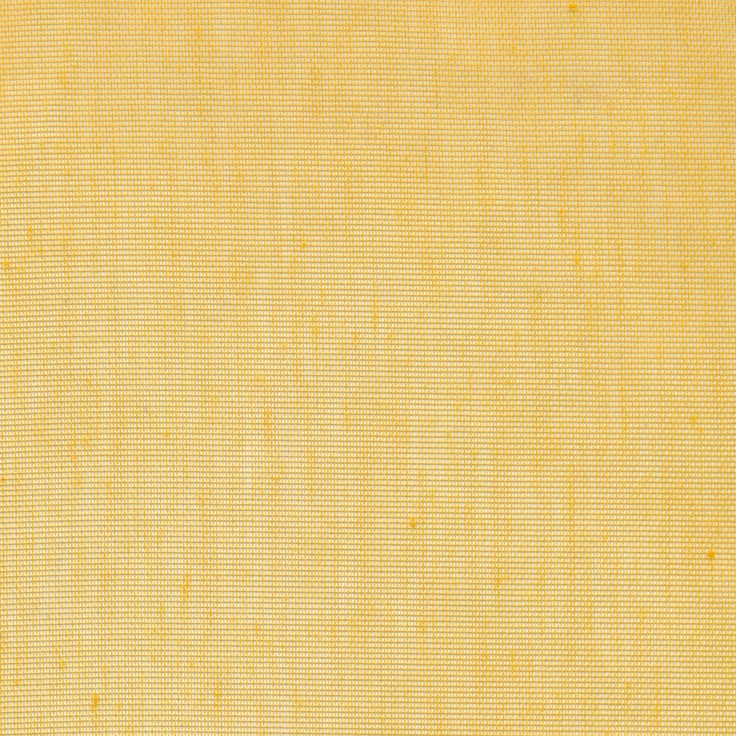 Saffron 13 | Hoshi