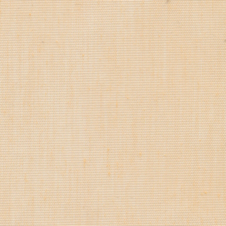 Toast 16