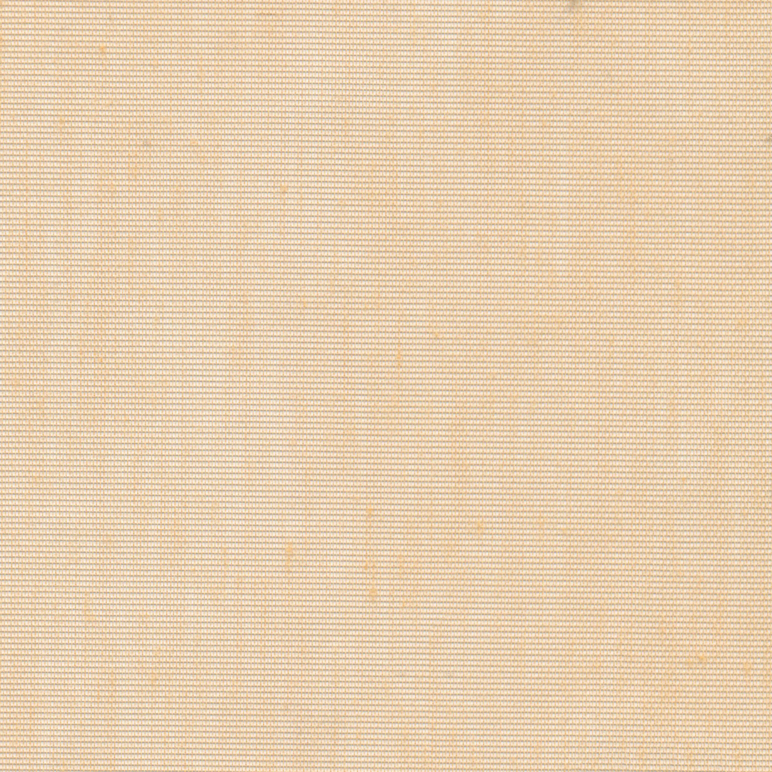 Toast 16 | Hoshi