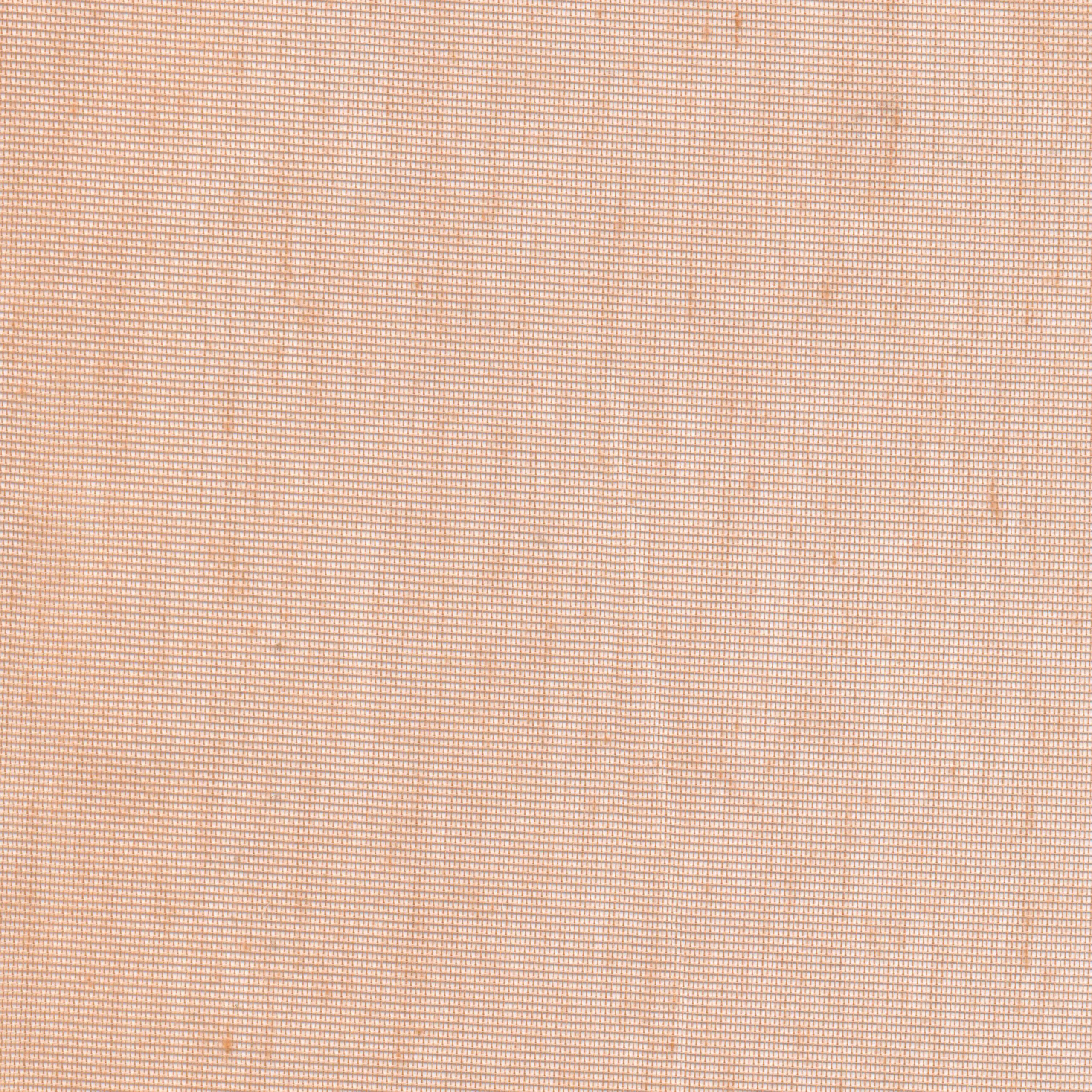Pheasant 17 | Hoshi