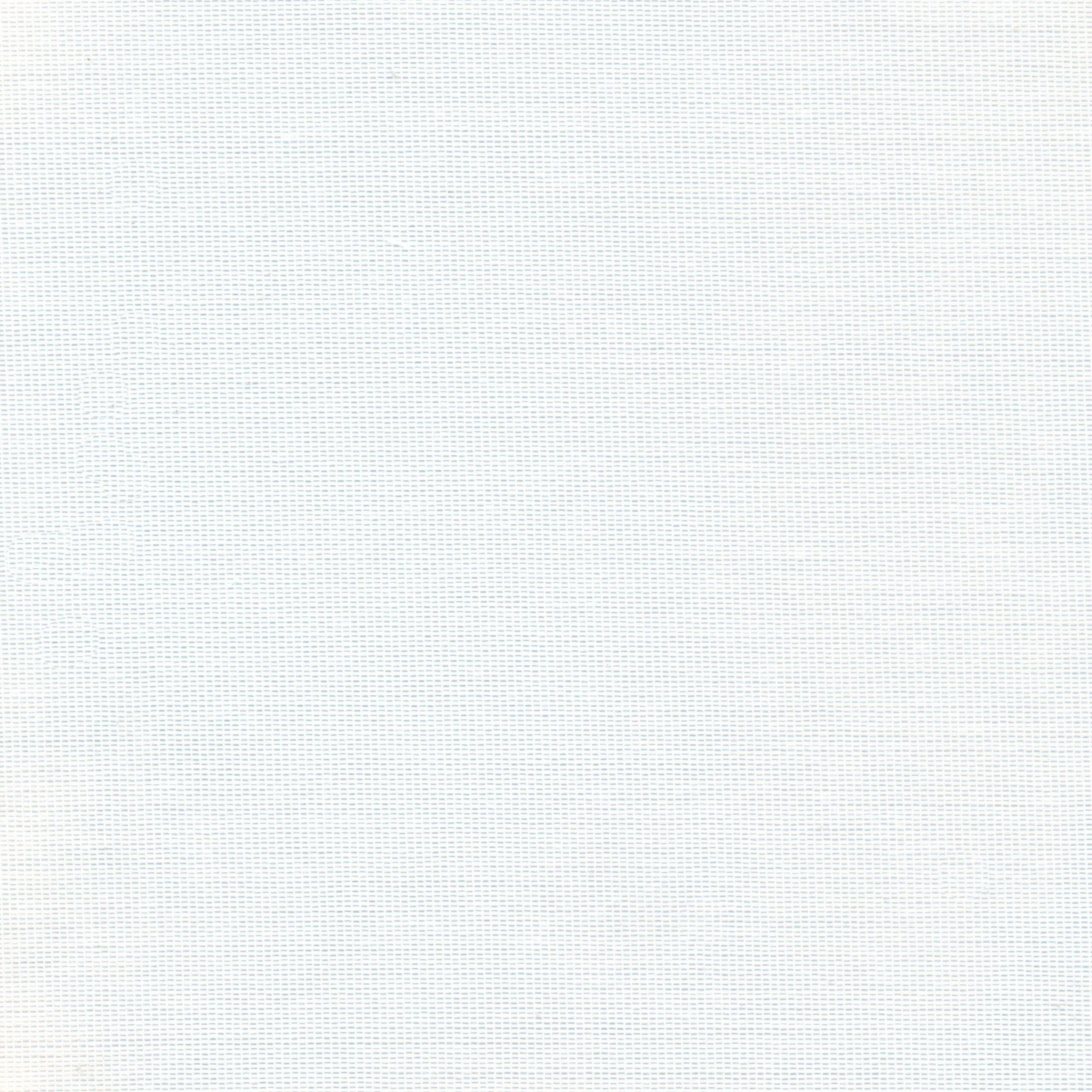 Snow 20 | Hoshi