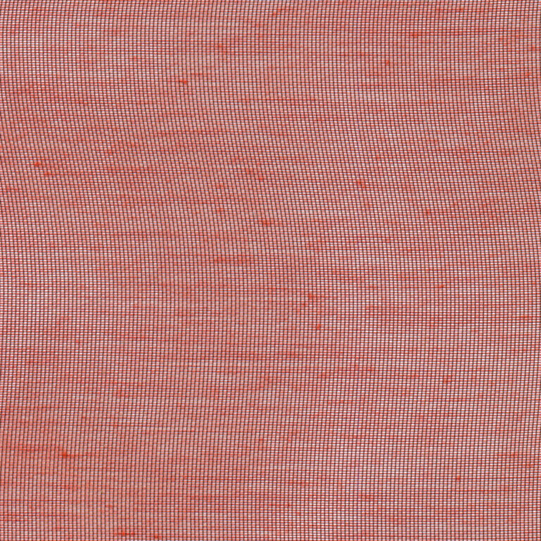 Strawberry 21