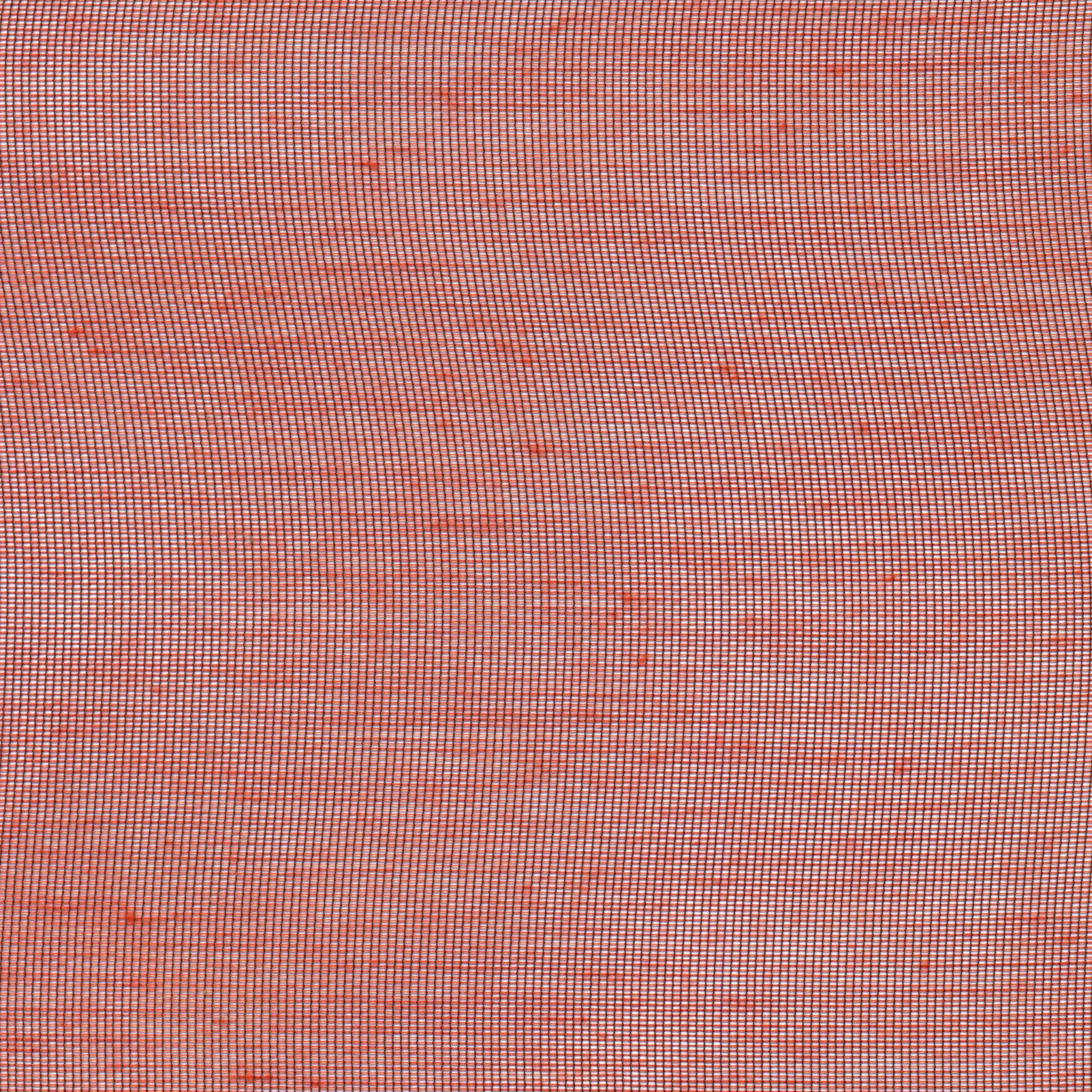 Strawberry 21 | Hoshi