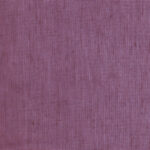 Aubergine 22 | Hoshi