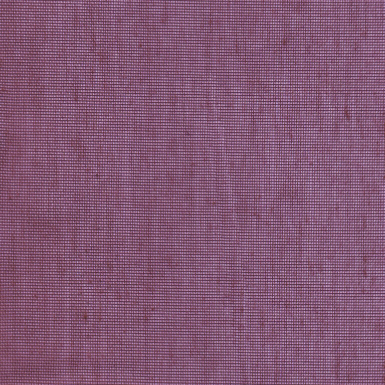 Aubergine 22