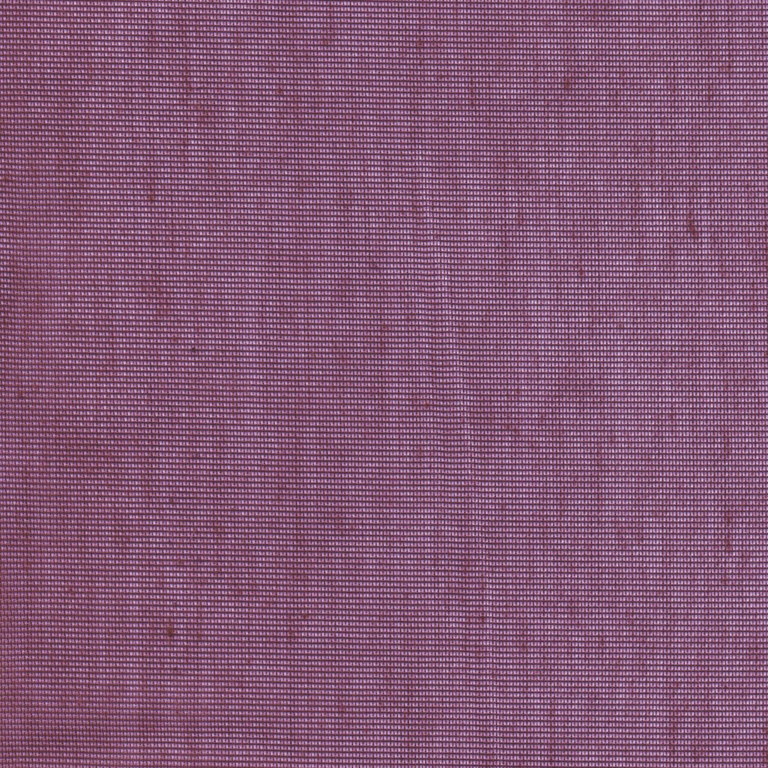 Aubergine 22 | Hoshi