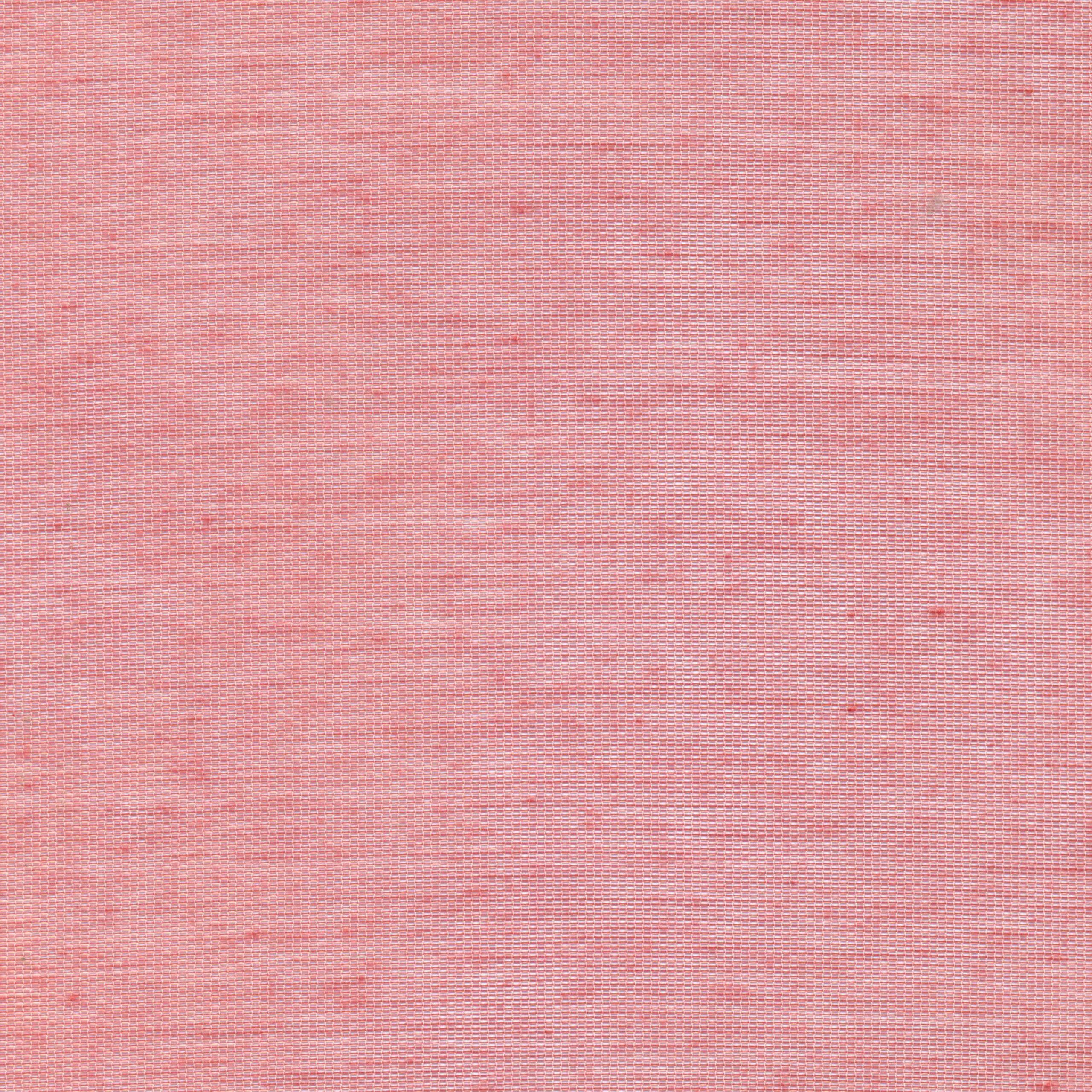 Blush 23 | Hoshi