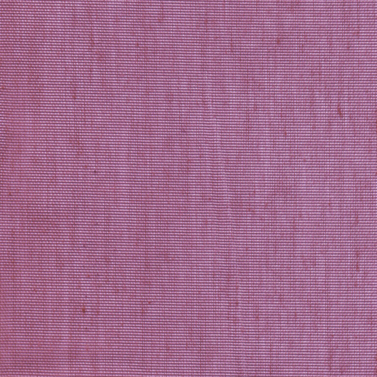 Fuchsia 29