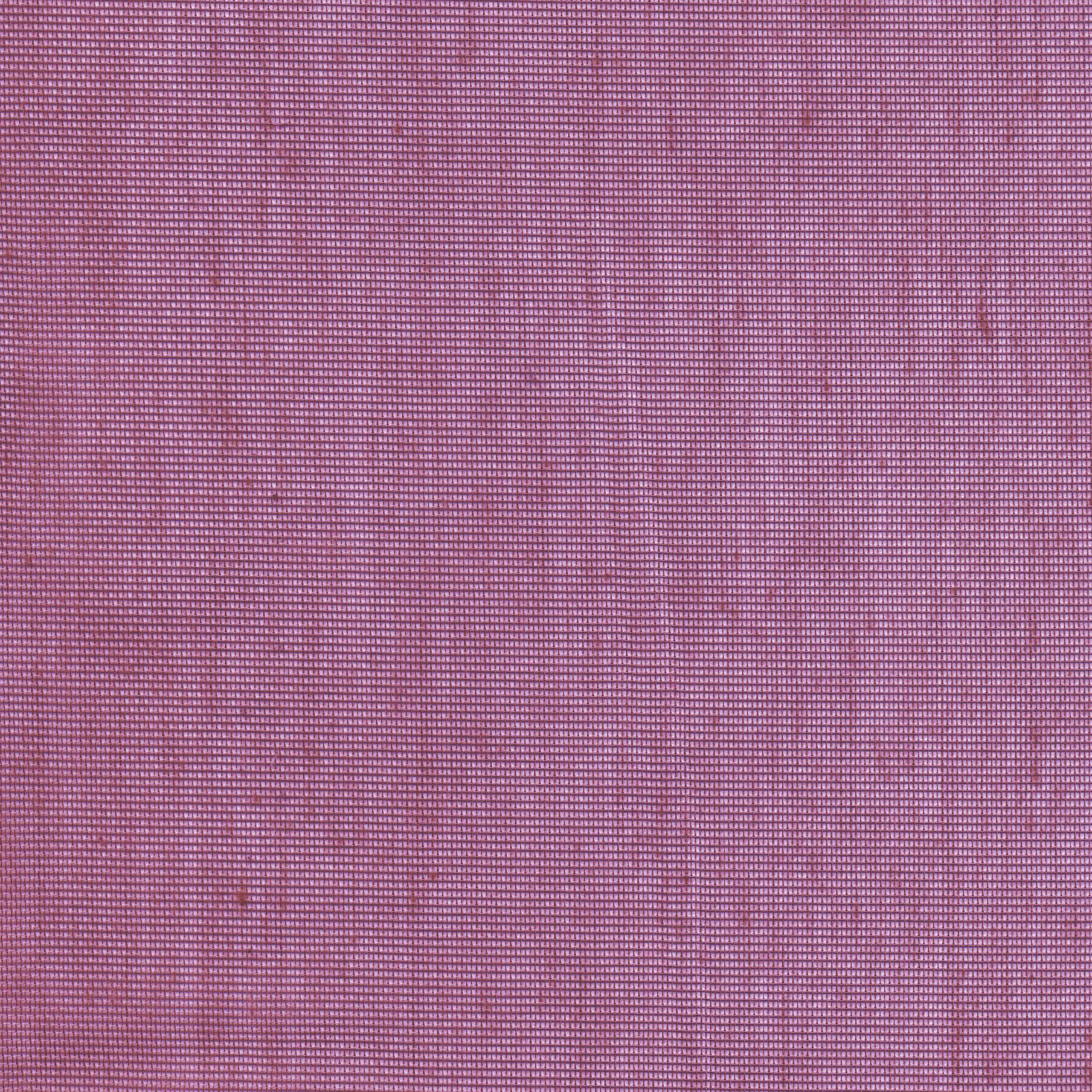 Fuchsia 29 | Hoshi