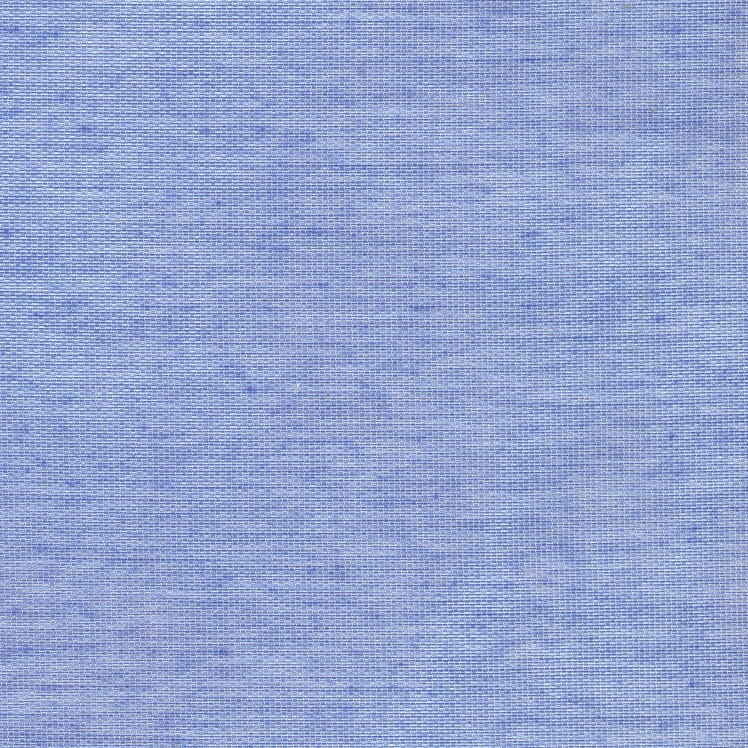 Hyacinth 33 | Hoshi