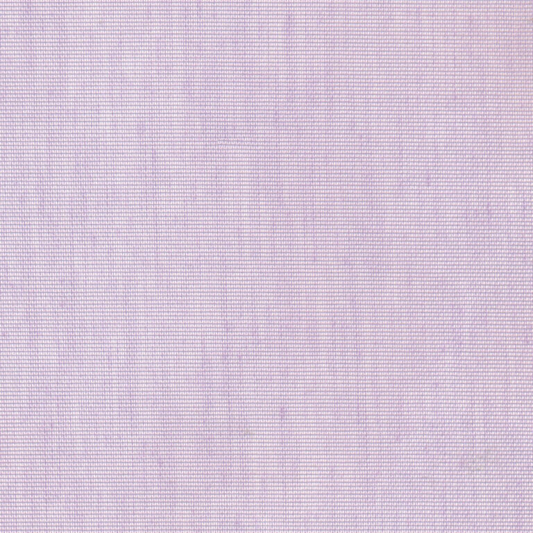 Orchid 39