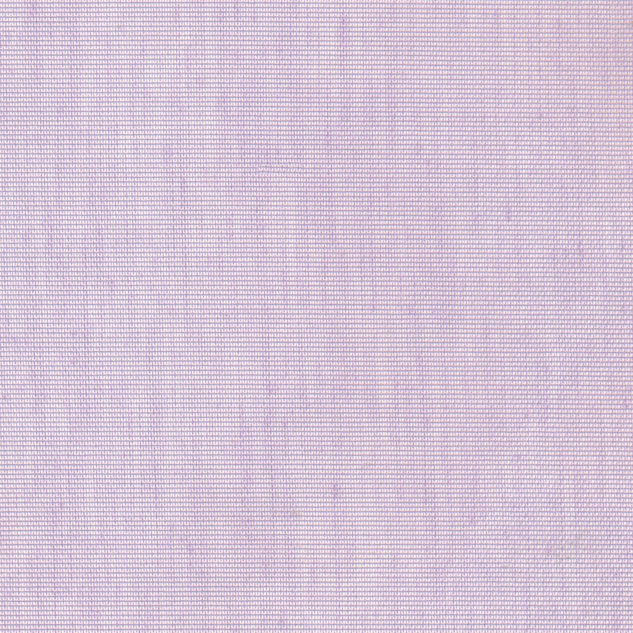 Orchid 39 | Hoshi