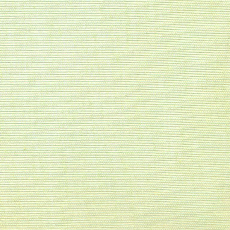 Celery 41