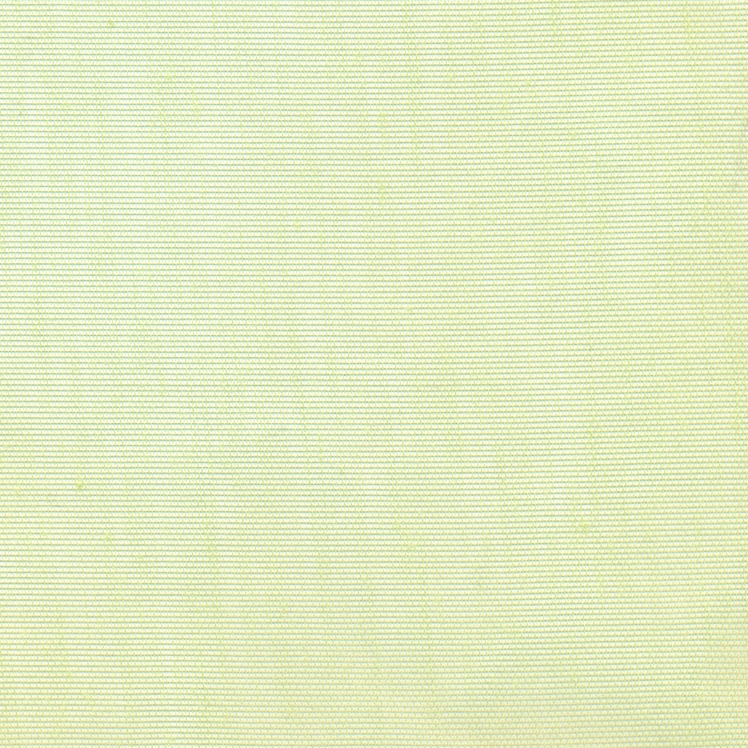 Celery 41 | Hoshi