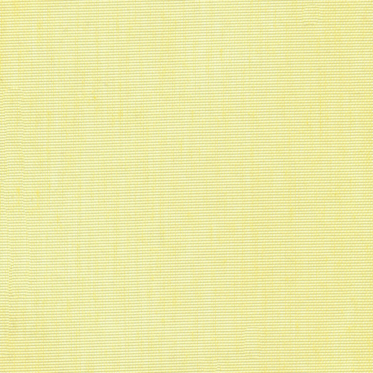 Pistachio 43