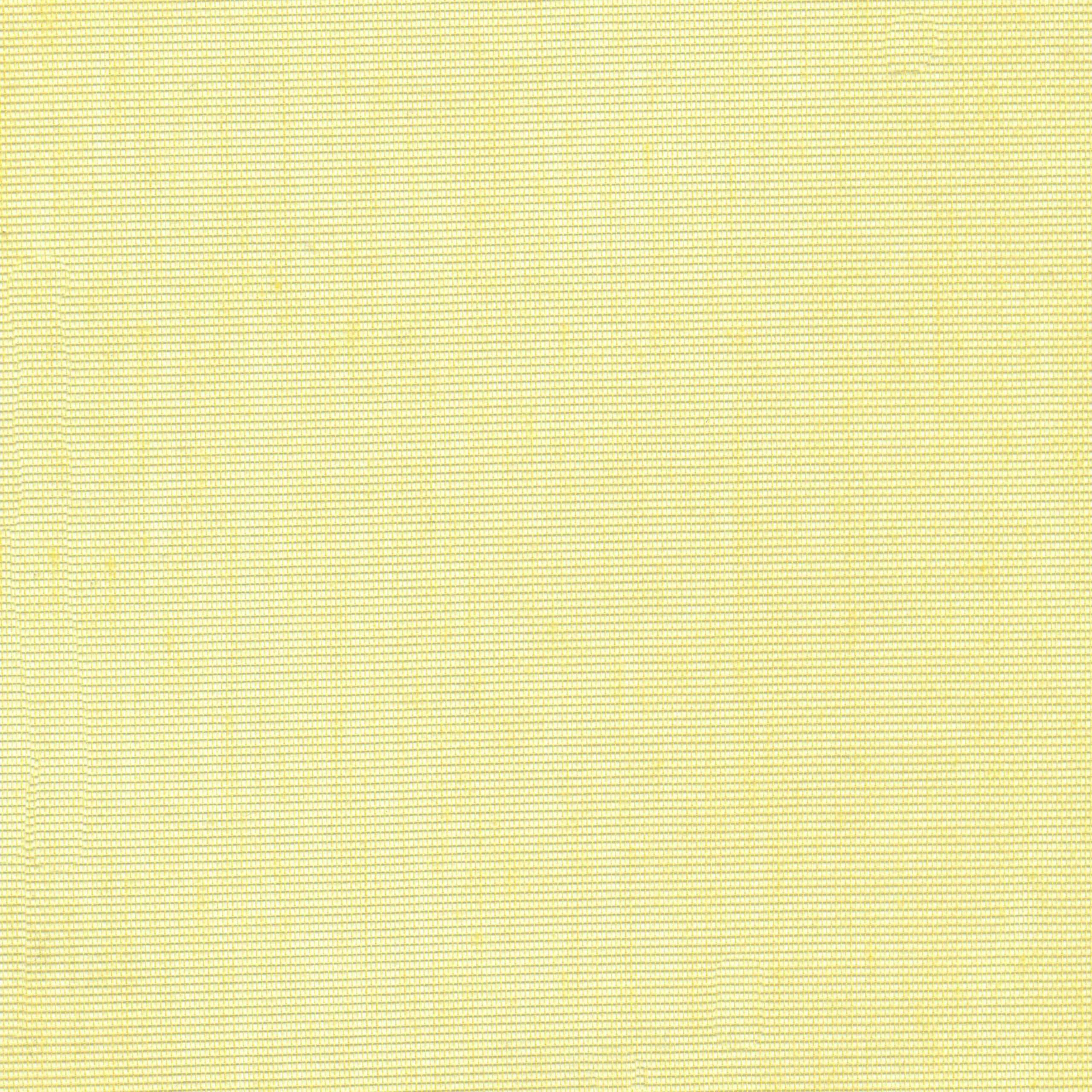Pistachio 43 | Hoshi