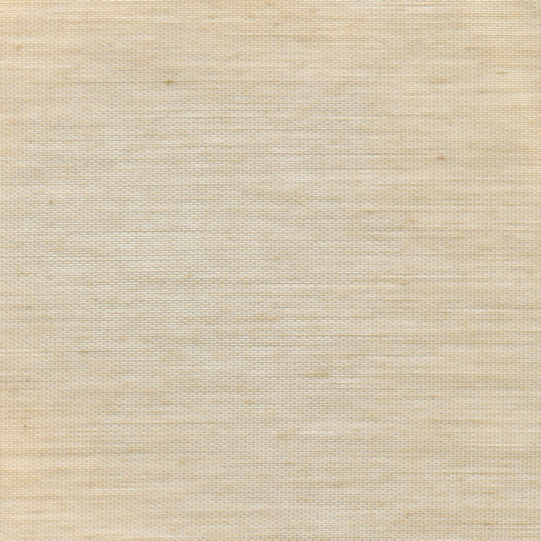 Corn 55