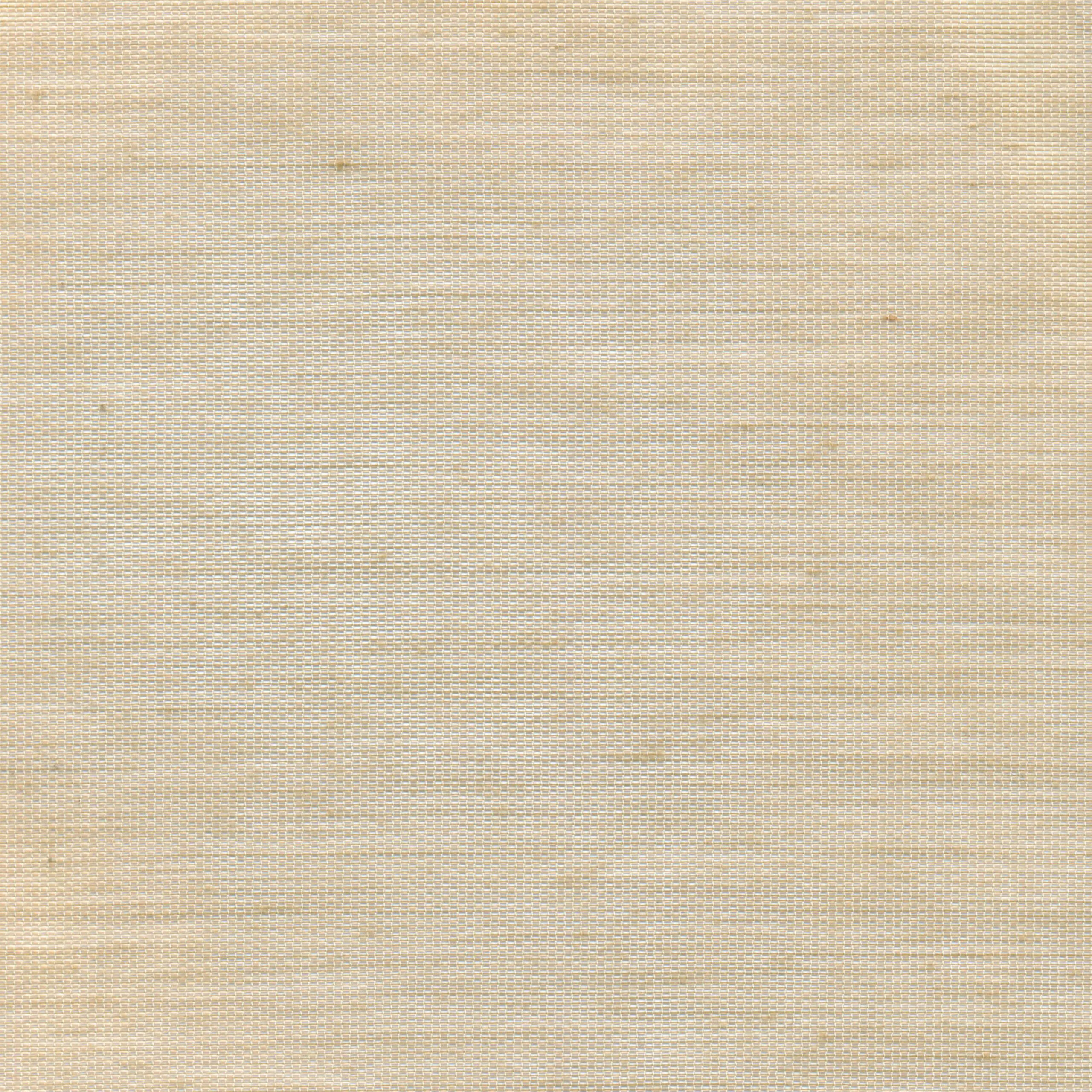 Corn 55 | Hoshi