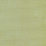 Bamboo 66 | Hoshi
