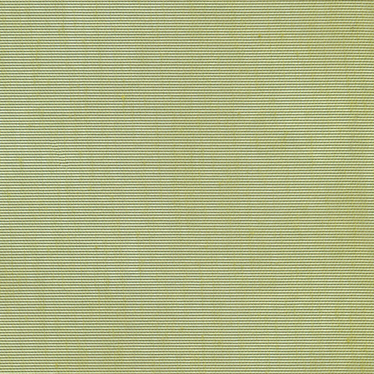 Bamboo 66