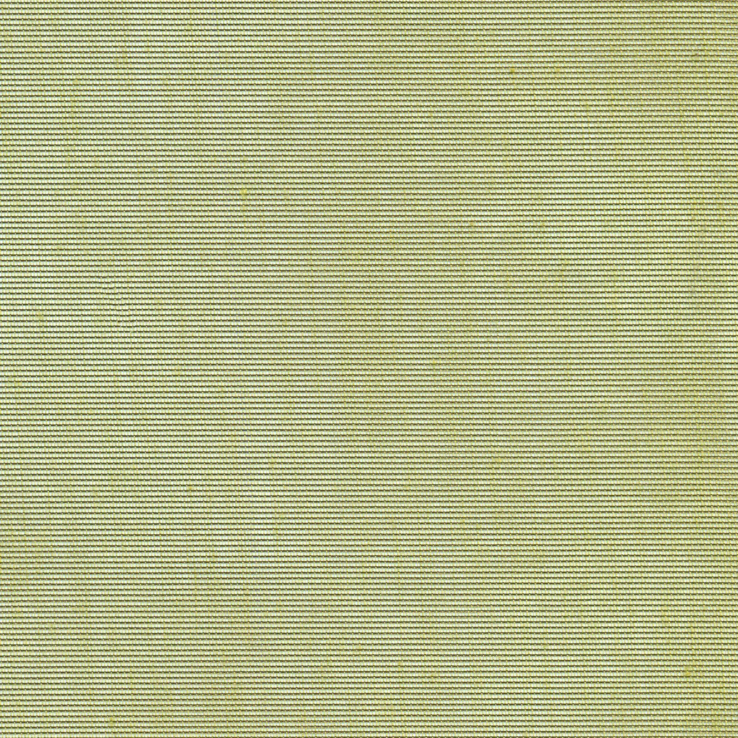 Bamboo 66 | Hoshi