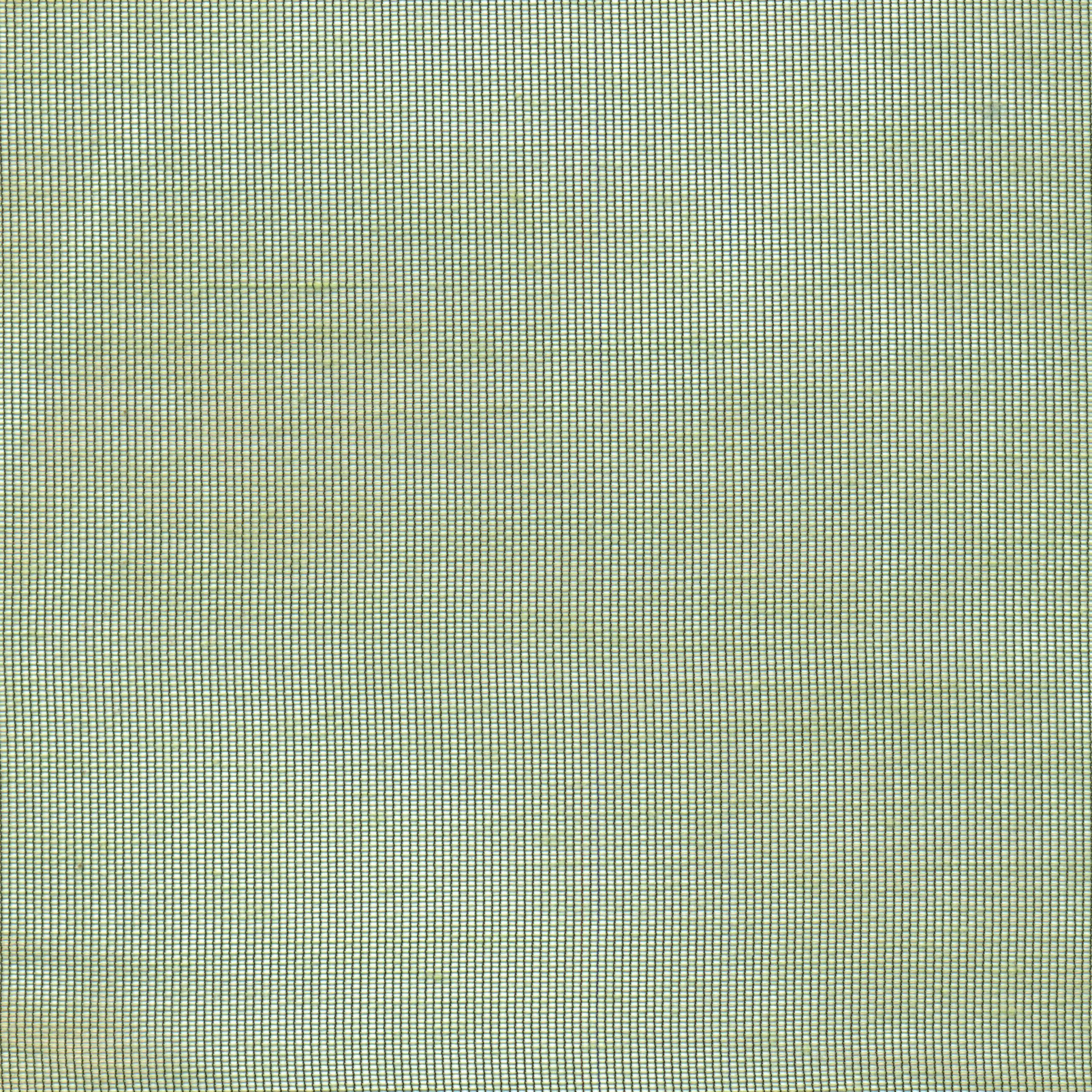 Moss 67 | Hoshi