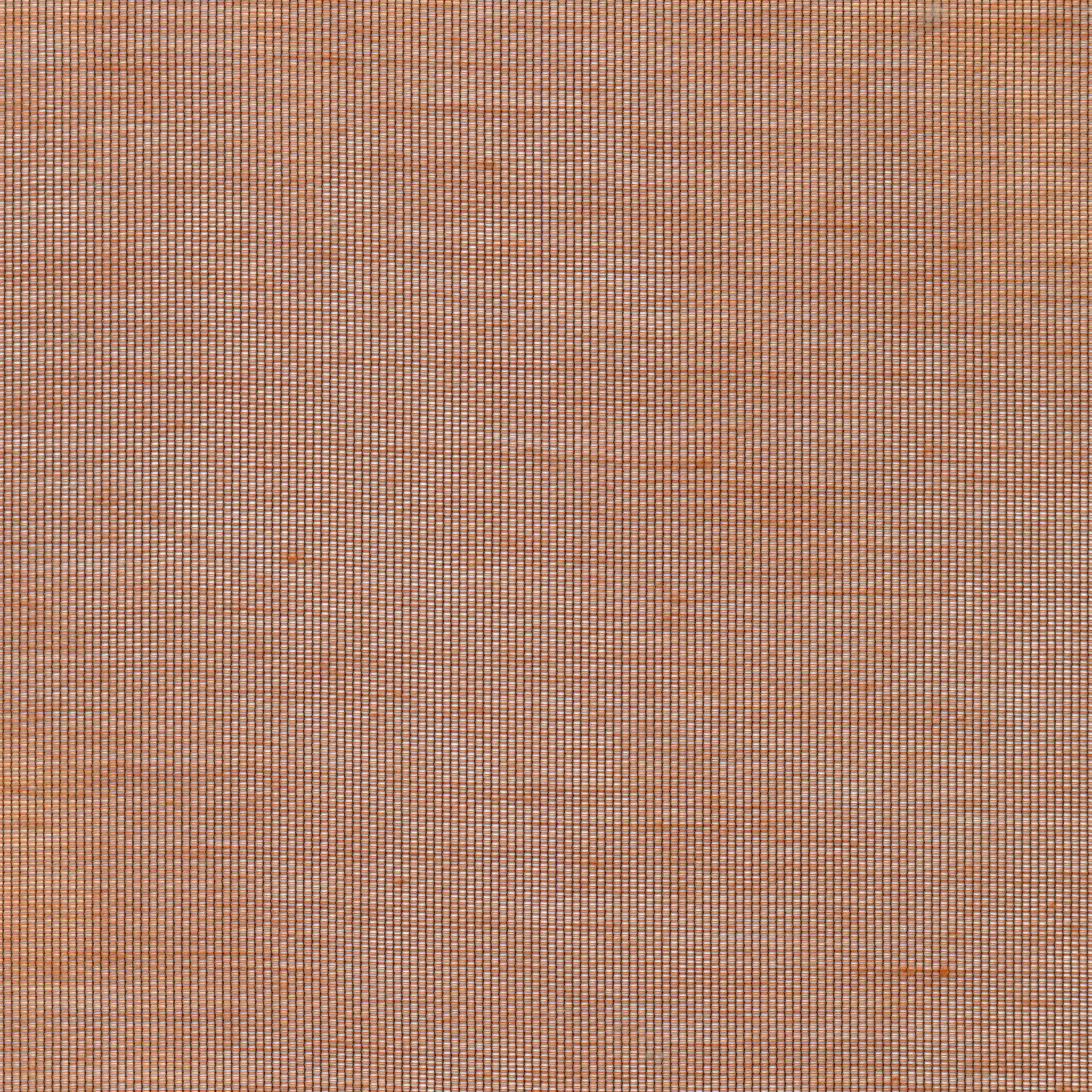 Rust 79 | Hoshi