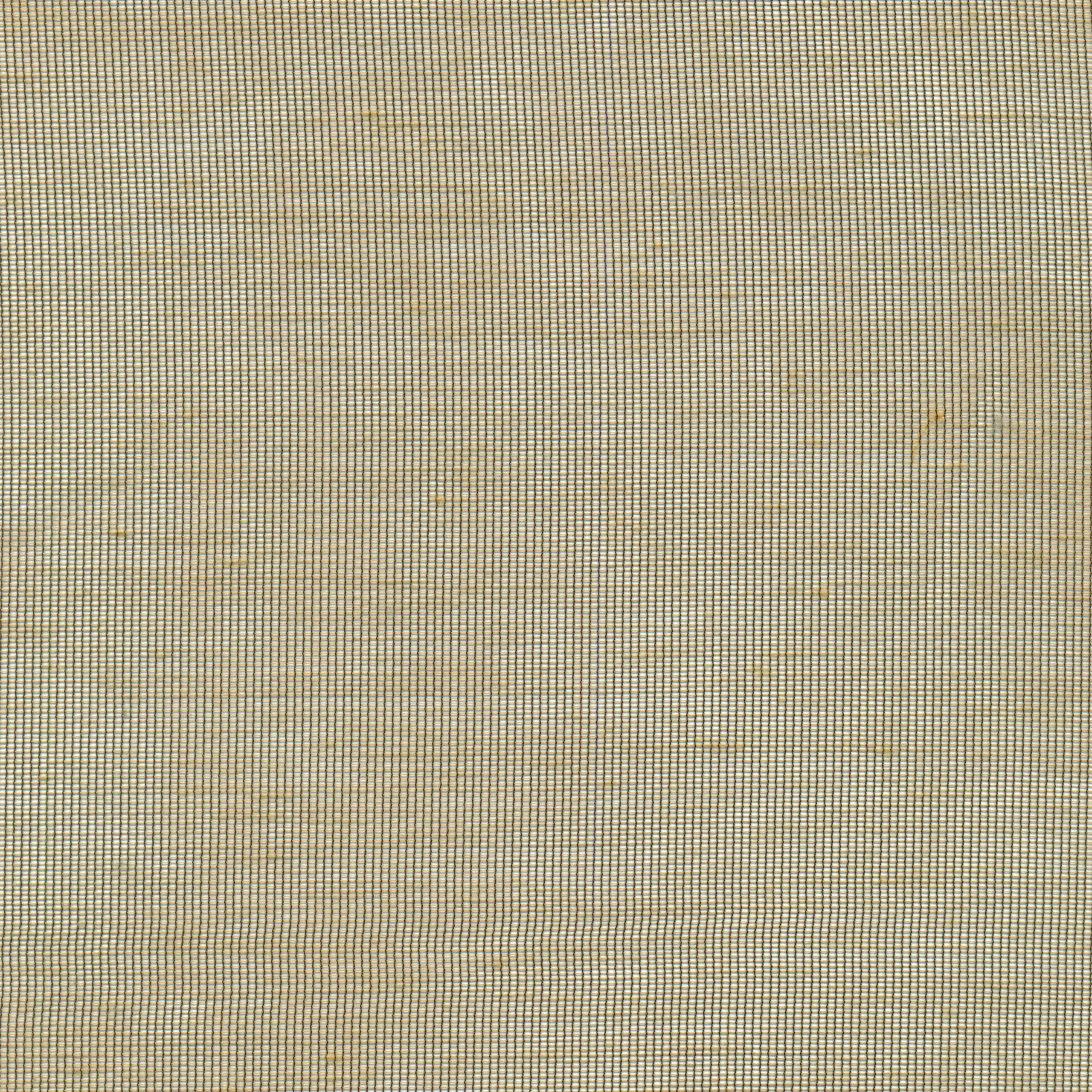 Caramel 81 | Hoshi