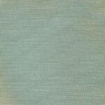 Eucalyptus 86 | Hoshi
