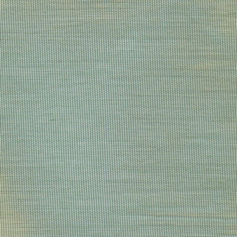 Eucalyptus 86