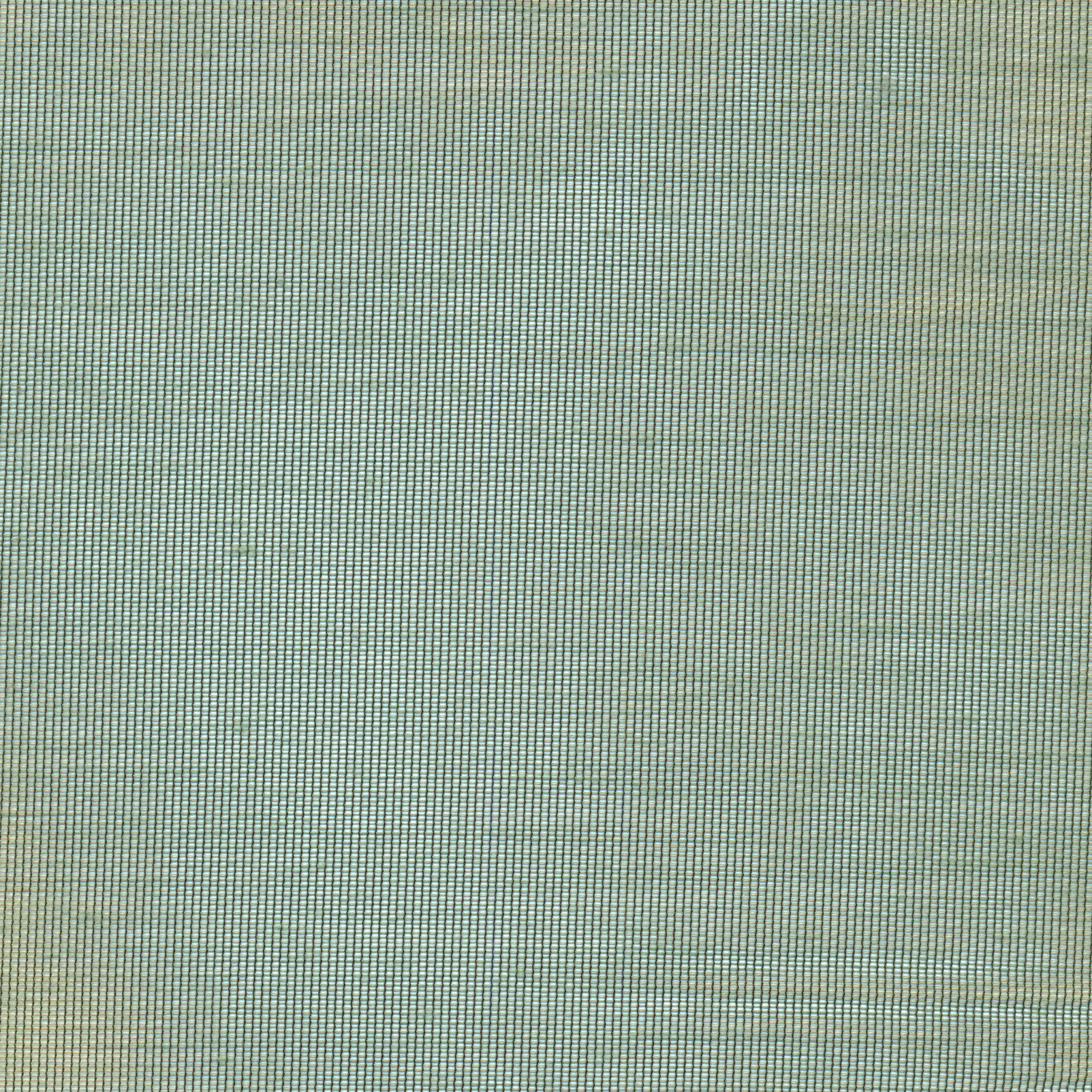 Eucalyptus 86 | Hoshi