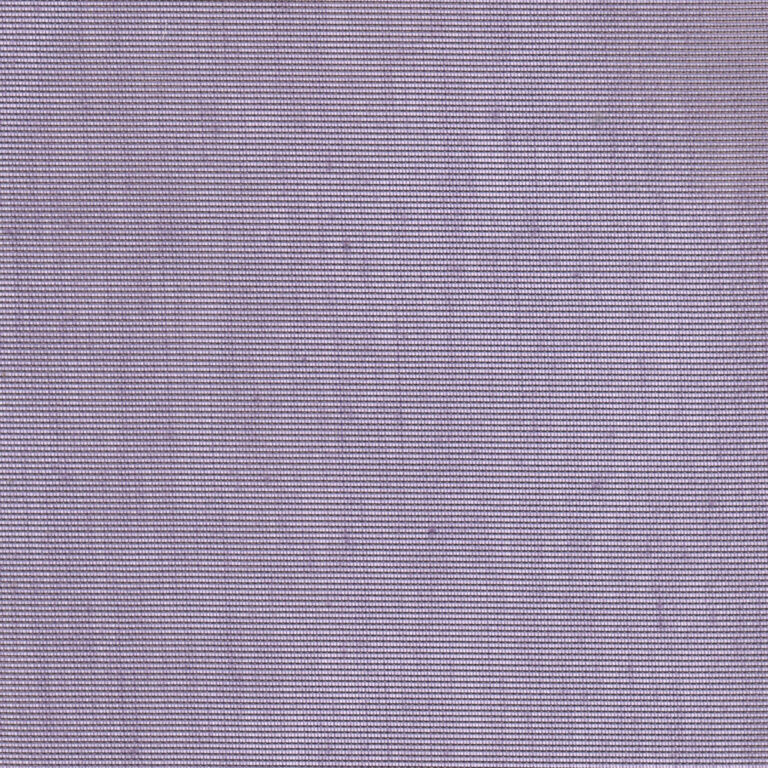 Wisteria 94