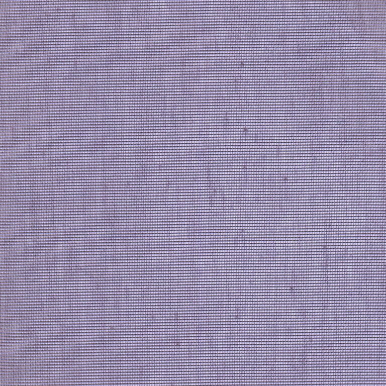 Eggplant 95