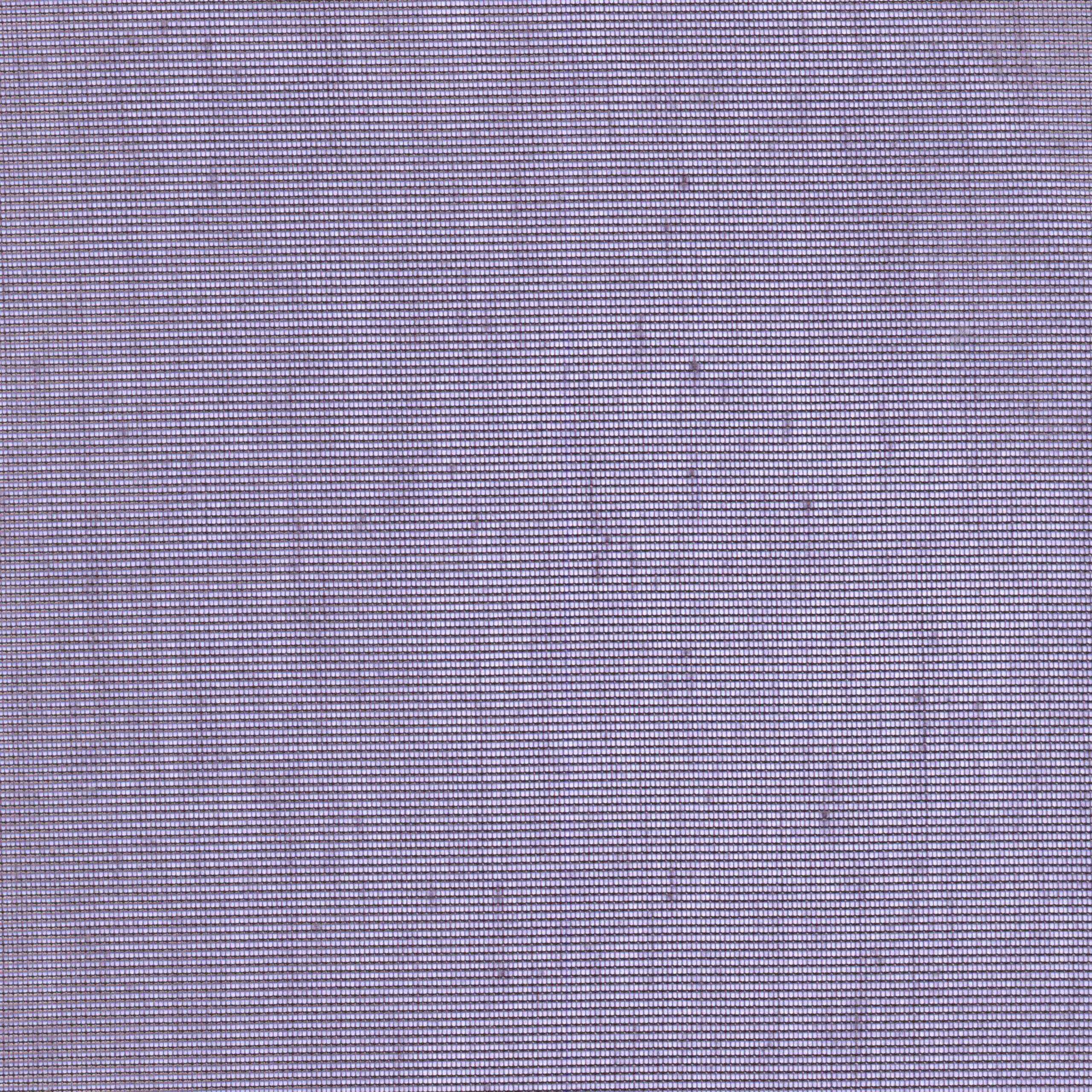 Eggplant 95 | Hoshi