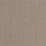 Taupe 6 | Ilaria