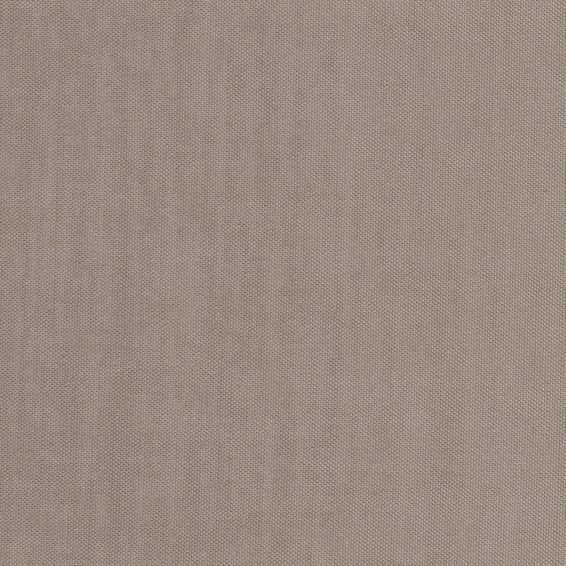 Taupe 6 | Ilaria