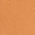 Apricot 11 | Ilaria