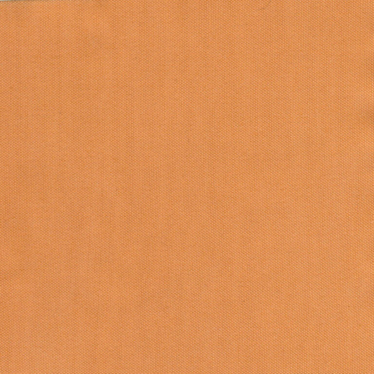 Apricot 11